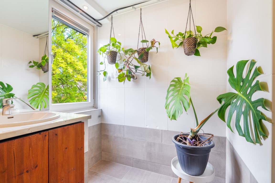 Appartement te koop: Slachthuisstraat 217, Groningen